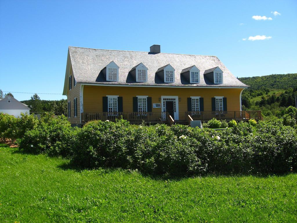 Motel Le Noroit L'Anse-au-Griffon Exteriér fotografie